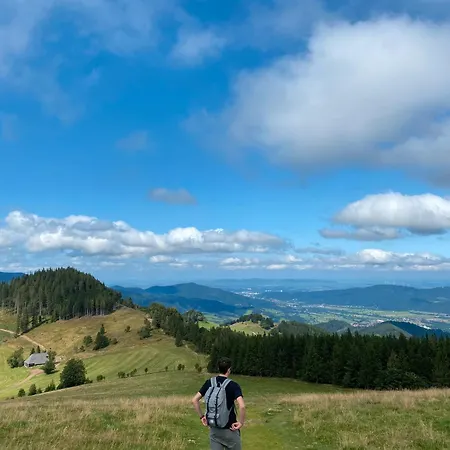 Lejlighed Hochburger 21 Emmendingen