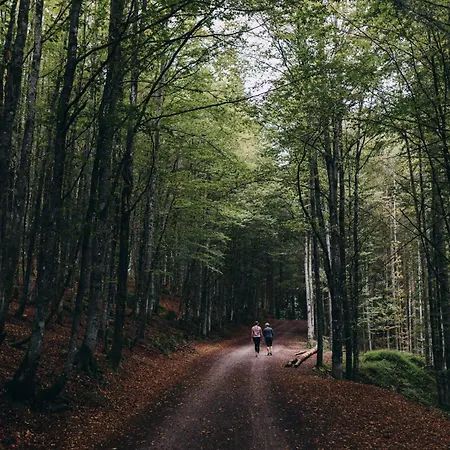 Hochburger 21 Apartman